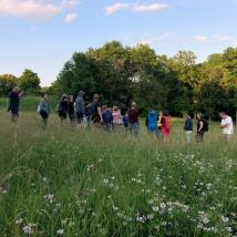 Menschen stehen in hohem Gras in einem Feld, umgeben von grüner Natur.