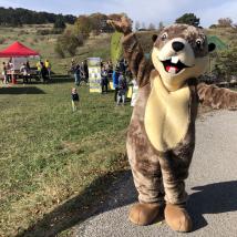 Otter-Kostüm-Person auf Wiese mit Zelten und Ständen. Outdoor-Event bei Tageslicht, klarem Himmel, Bäume im Hintergrund.