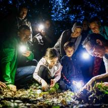Nachtführungen am 7. Juni