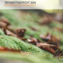 Tätigkeitsbericht 2024