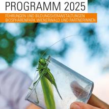 Cover Programm 2025 - Heuschrecke am Rand einer Becherlupe 