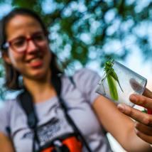 Frau hält Becherlupe mit Heuschrecke in der Hand