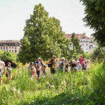 Naturführungen beim TdA 2025