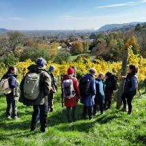 PErsonengruppe in herbstlicher Weinbaulandschaft