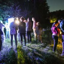 Wandergruppe bei Nachtexkursion