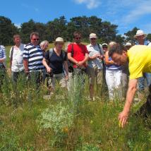 Menschengruppe auf Blumenwiese