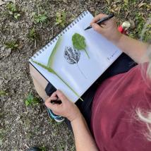 Frau skizziert Blatt