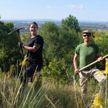 2 Menschen auf Wiese mit Spitzhacken