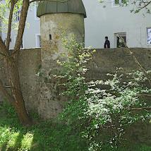 Türmchen Liesing Mauer