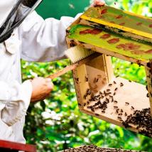 Imker mit Bienenstock