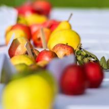 Äpfel in Reihe auf Tischtuch
