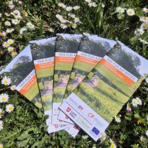 mehrere Exemplare Infofolder "Fair-Play auf Wiesen" in einer Wiese