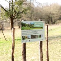 Infotafel auf Salzwiese