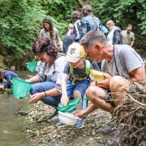 Naturführungen beim Fest der Artenvielfalt