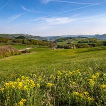 Panormablick Wienerwald