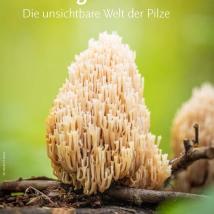 Cover Broschüre Verborgene Vielfalt