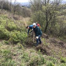 Freiwillige bei Landschaftspflegeeinsatz