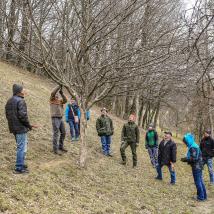 Personengruppe beim Obstbaumschnittkurs