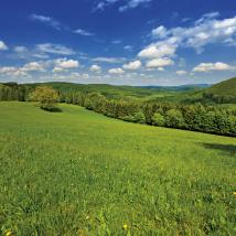 Wienerwald und -wiesen