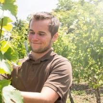 Weingut Hannes Hofer