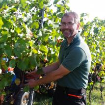 Weingut Familie Niegl